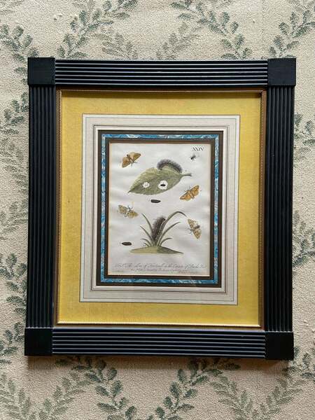 Set Of 4 Framed Hand Coloured 19th Century Prints photo for sale