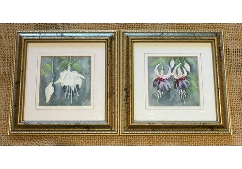 Vintage Original Watercolours 'Fushias' By L.Ayres In Matching Frames   Pair
