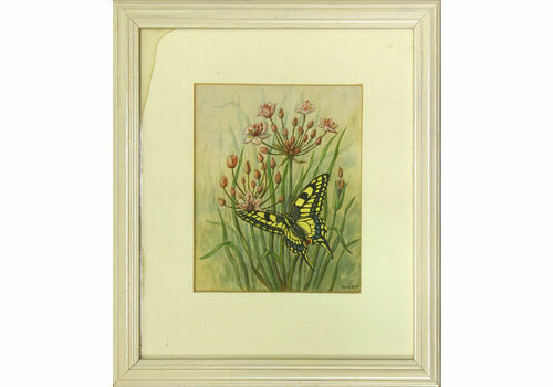 Watercolour By Joan Avery. Swallow Tail Butterfly And Flowering Rush