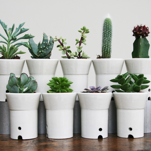 Ceramic Tea Light Indoor Planter Holder