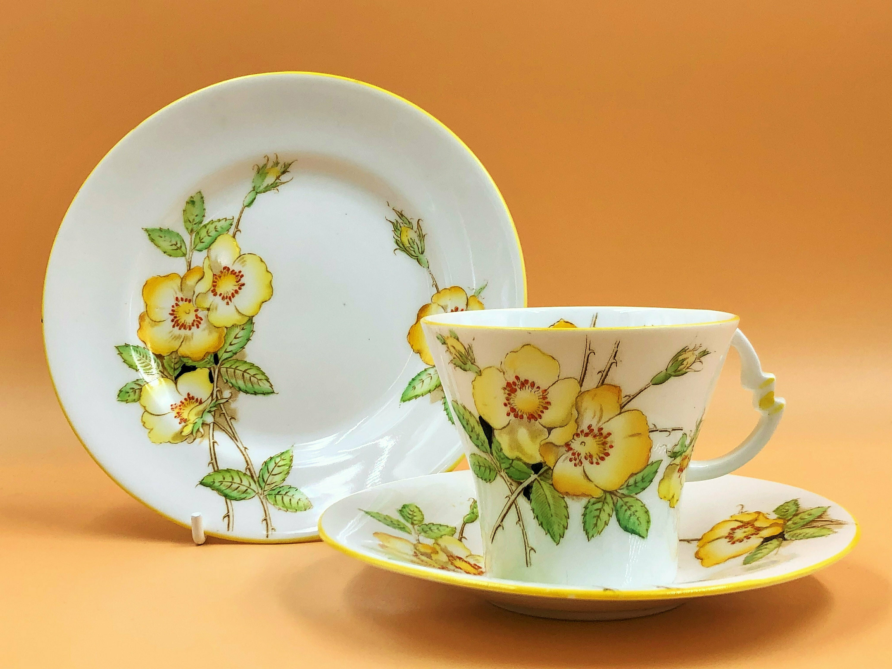 Royal Albert Crown China Art Deco Shape Wild Rose Yellow Trim