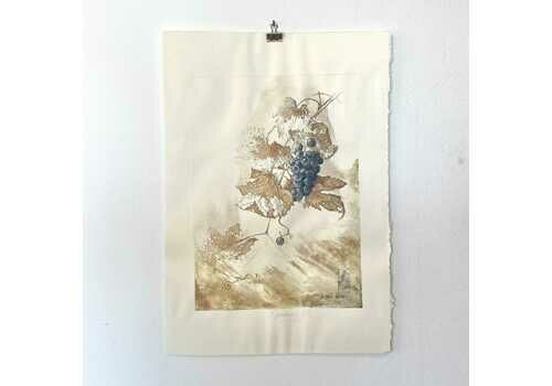 Danish Original Vintage Postmodern Beautiful Print From The 1980s With Motive Of Grapes On Branch