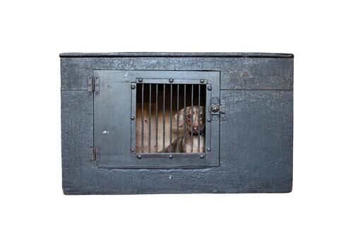Early 19th C Georgian Original Painted Green Pitch Pine Dog Box Bed Crate