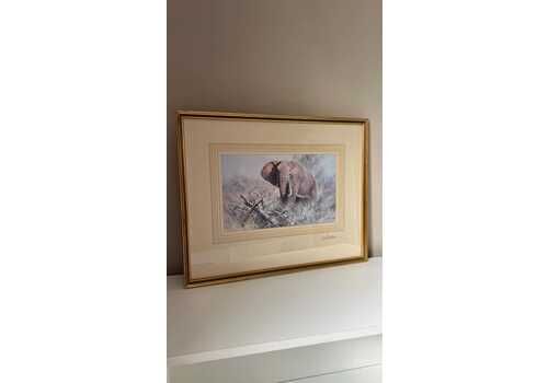Signed David Shepherd Elephant Print – Framed & Glazed Wildlife Artwork