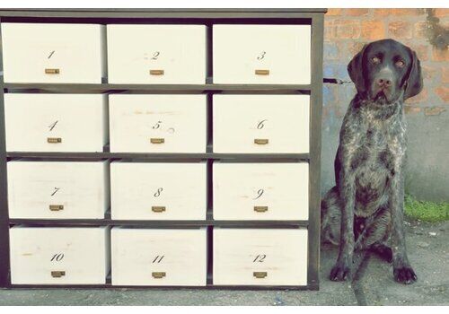 Chest Of Drawers With Twelve Drawers