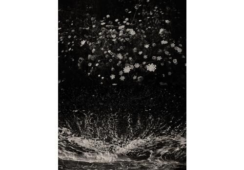 Jaume Llorens Gaia 98   Black And White Diptych Waves Crashing On Shore With Natural Flora