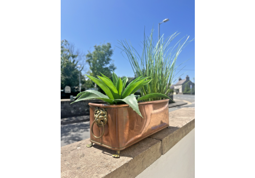 Antique Victorian 13" Copper Windowsill Flower Trough Brass Lion Planter Vintage