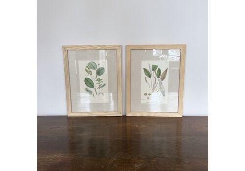 Framed Prints