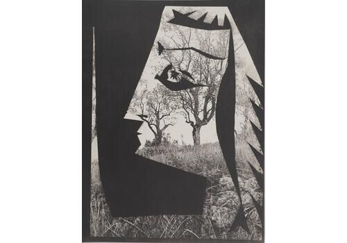 Pablo Picassodiurnes: Jacqueline