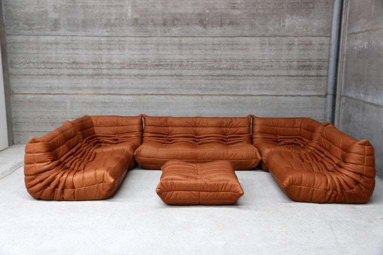 Large Set Of Togo By Michel Ducaroy For Ligne Roset In Funky Full