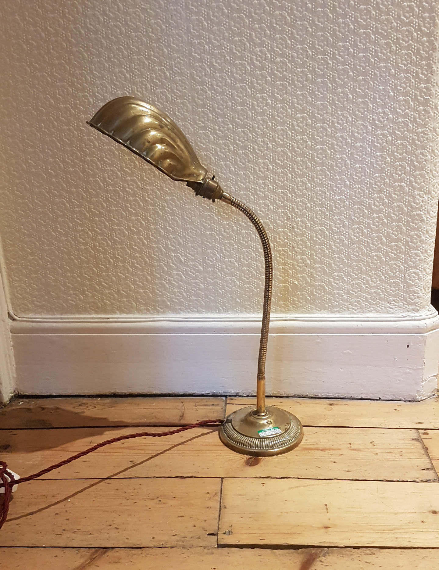 clam table lamp
