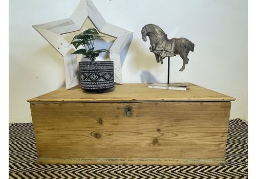 Antique Victorian Pine Trunk 19th Century Old Pine Trunk Linen Chest