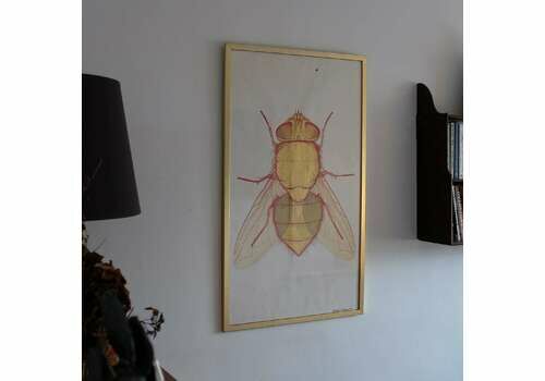 Vintage 1970s Lithograph By Anders Osterlin